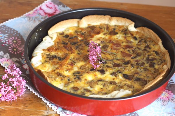 Где взять ссылку кракена