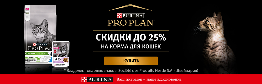 Как регистрироваться и заходить на кракен даркнет